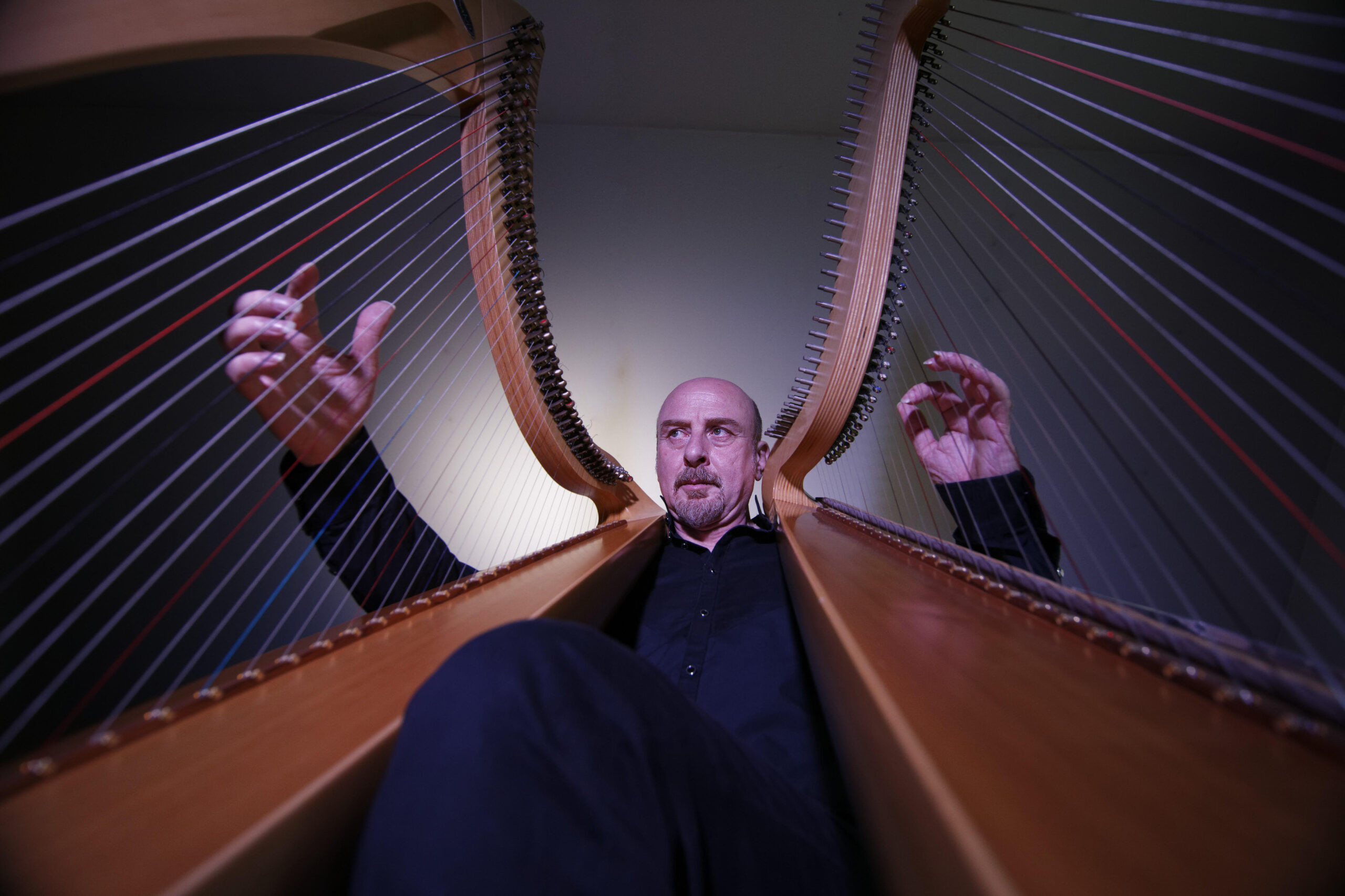 “Harpe Mundi” a Palazzo Ducale di Genova la musica di Vincenzo Zitello tra i più importanti arpisti al mondo